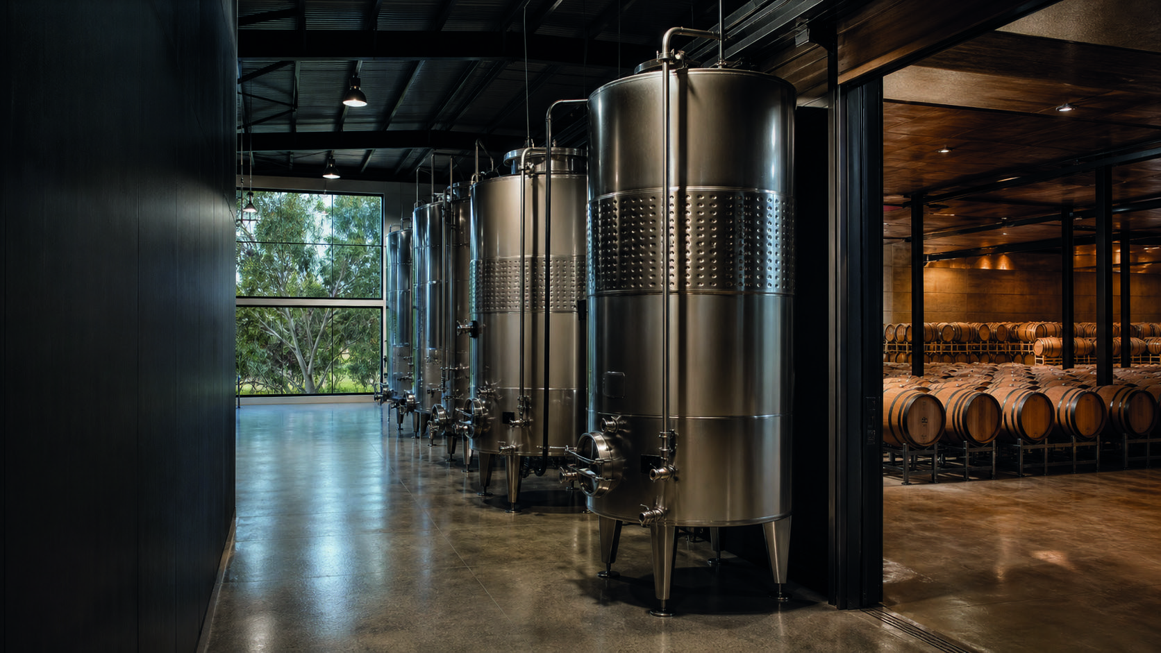 Wine fermentation tanks and cellar