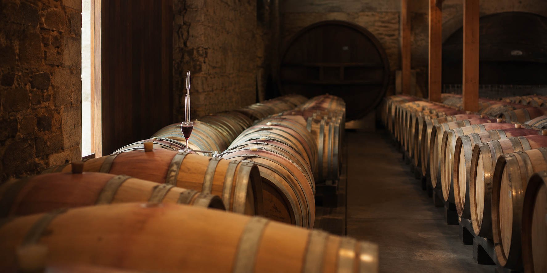 Australian wine cellar with oak barrels